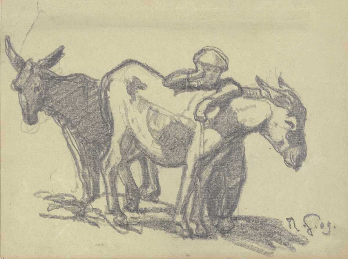 Boy with two donkeys