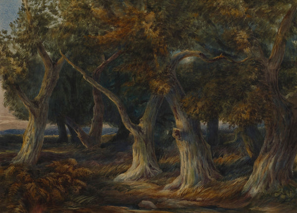 Forest