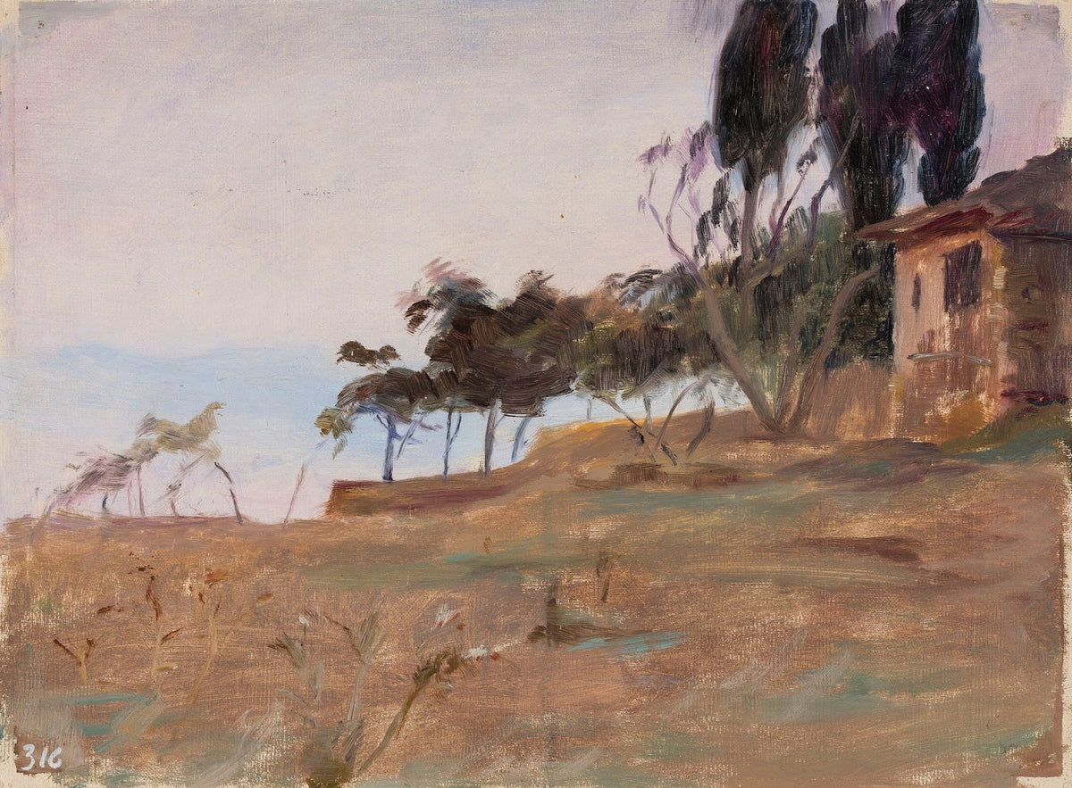 Study From the journey to Constantinople 1893