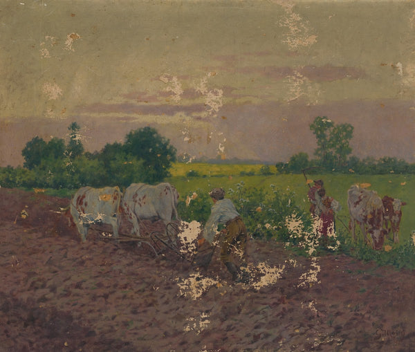 Ploughing 1906