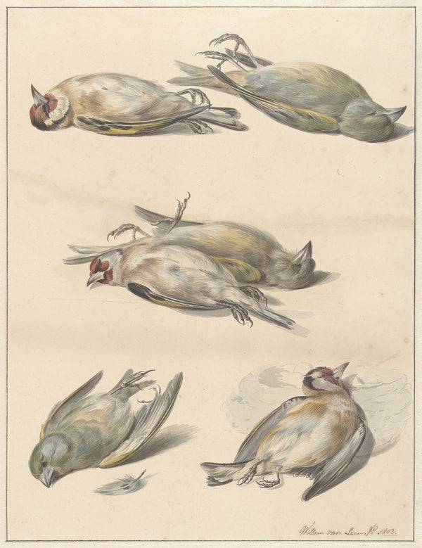Zes dode vogeltjes 1803
