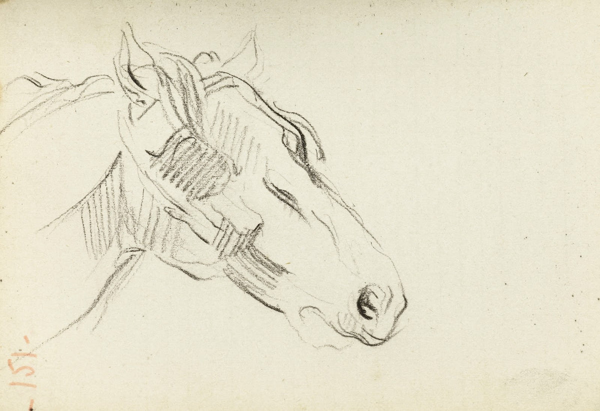 Etude de tête de cheval 1872