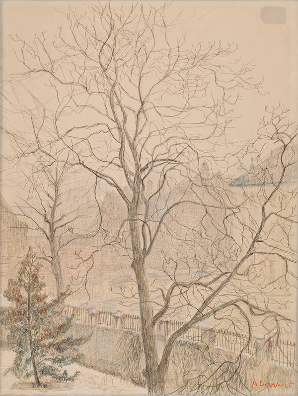 Walnut in the Mist