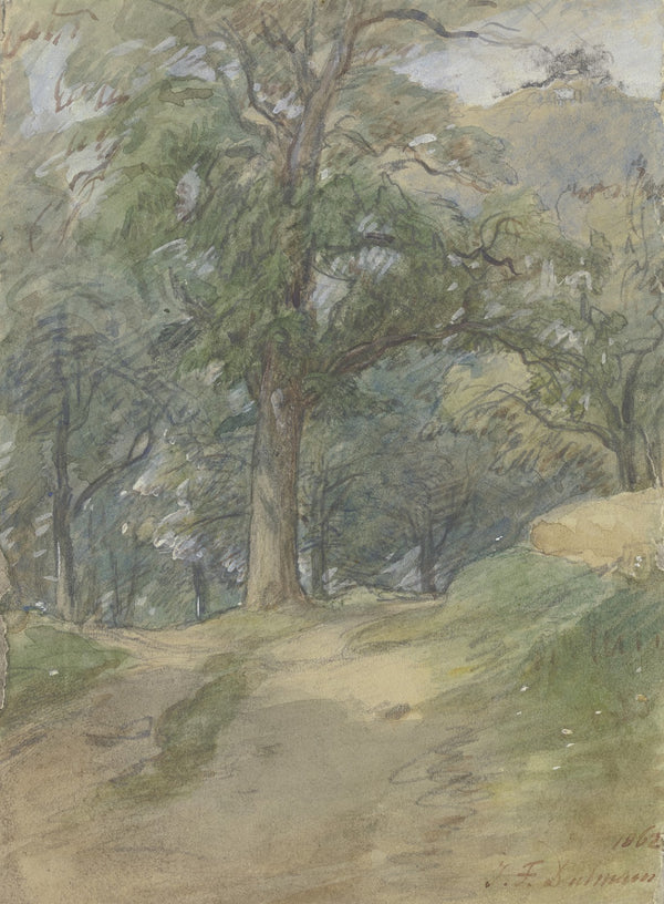 Sunny forest path 1862