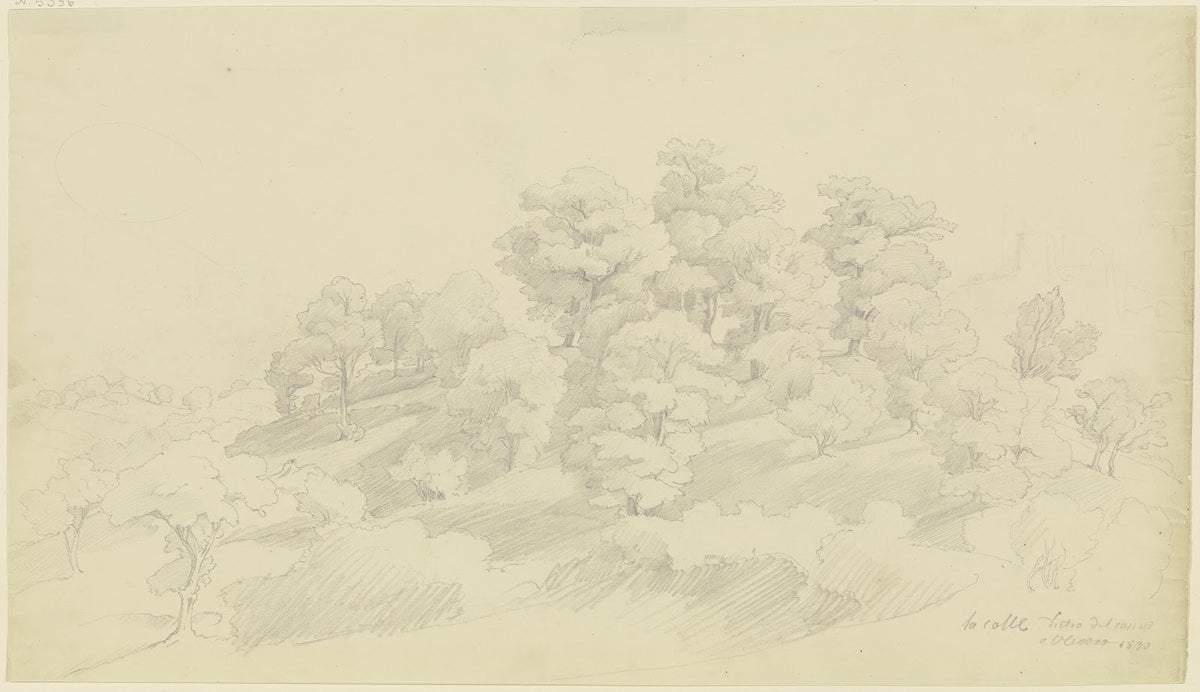 Group of trees near Olevano 1830