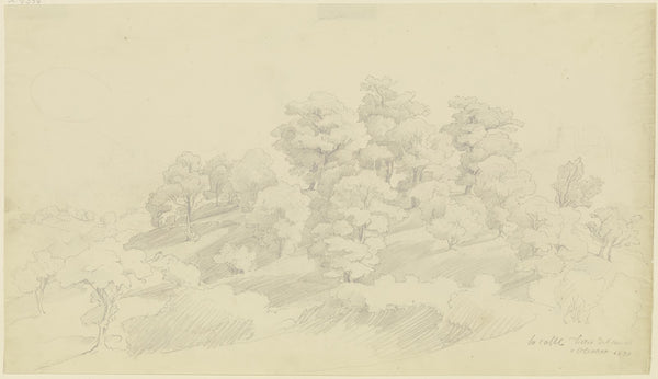 Group of trees near Olevano 1830