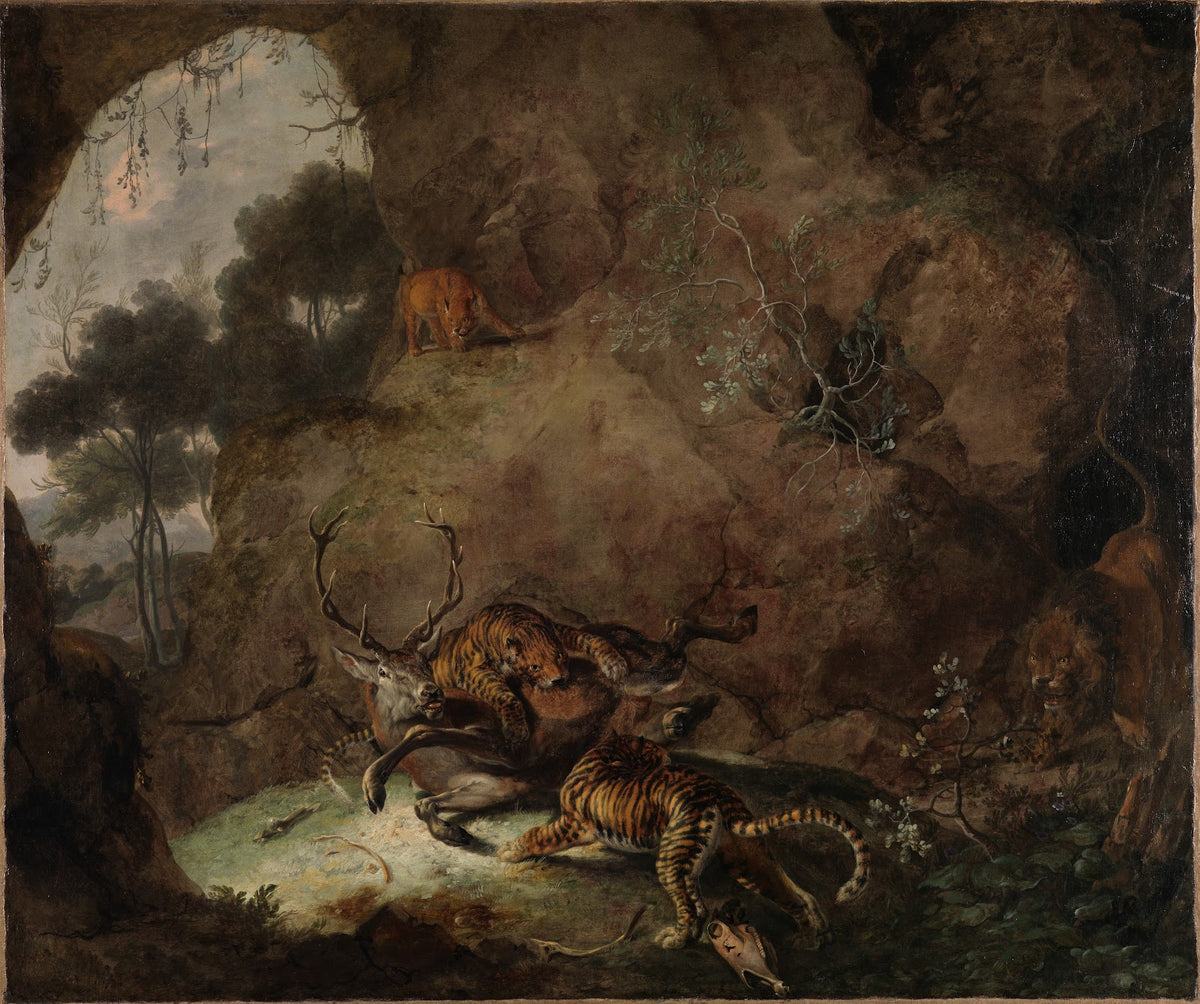 Zwei Tiger einen Hirsch reißend 1663