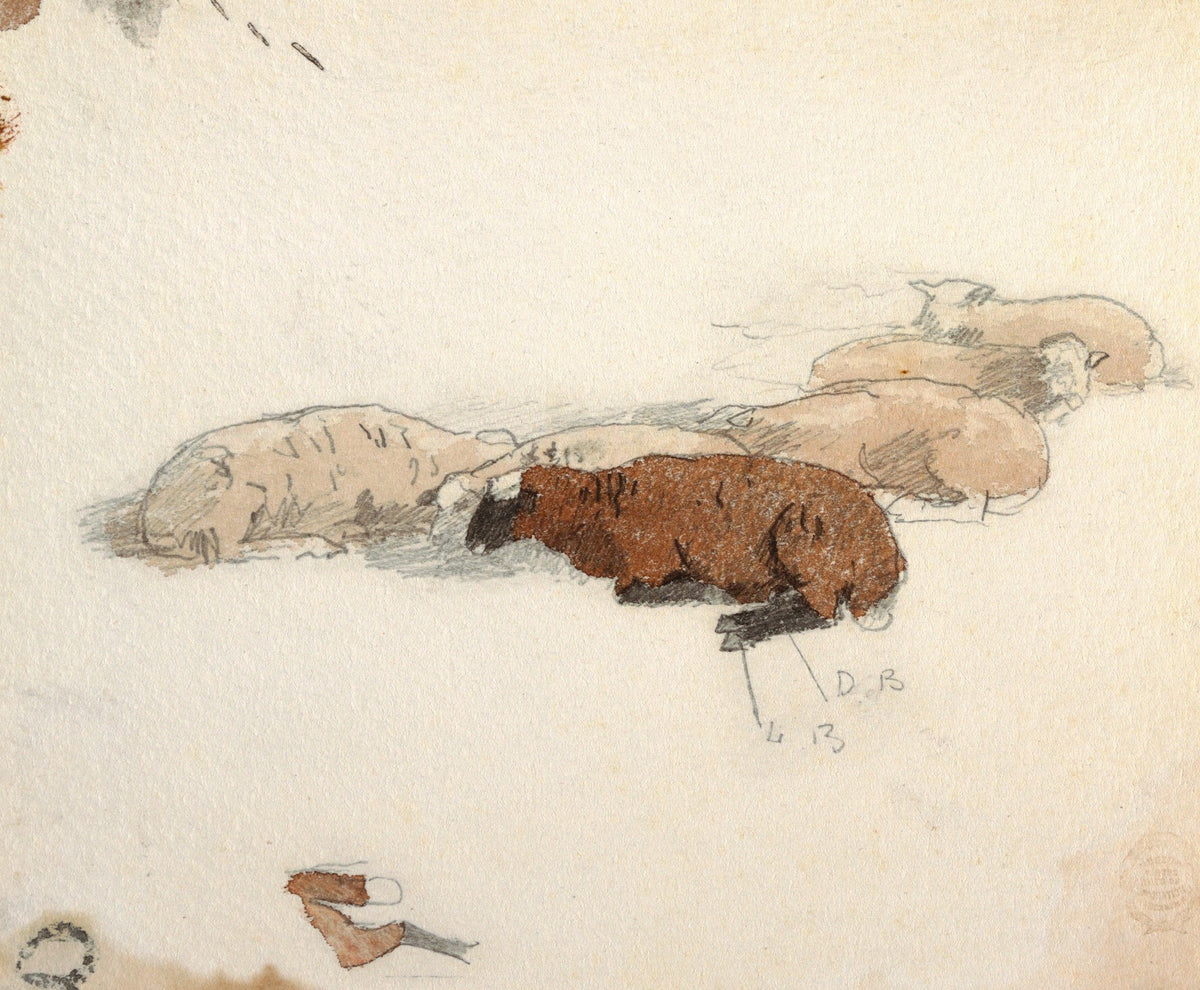 Sheep Resting 1878
