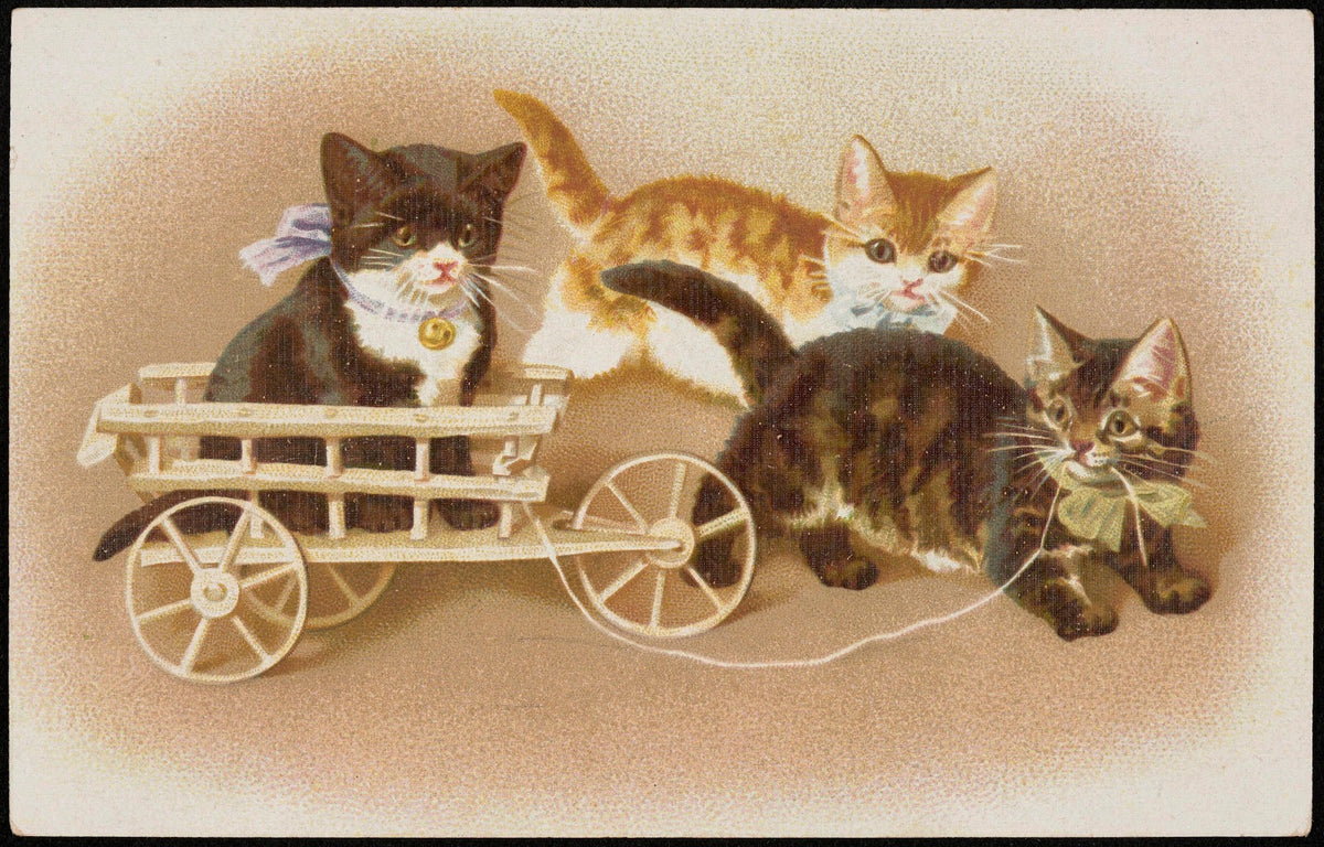 Two kittens pulling a third cat in a stroller 1913 1924