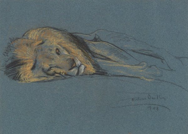 A sleeping lion 1908