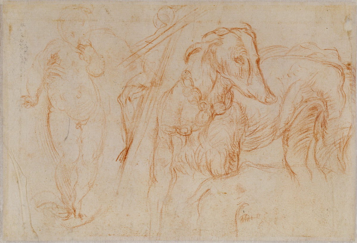 Studies of the Christ Child a Crucifix and a Dog 15251527