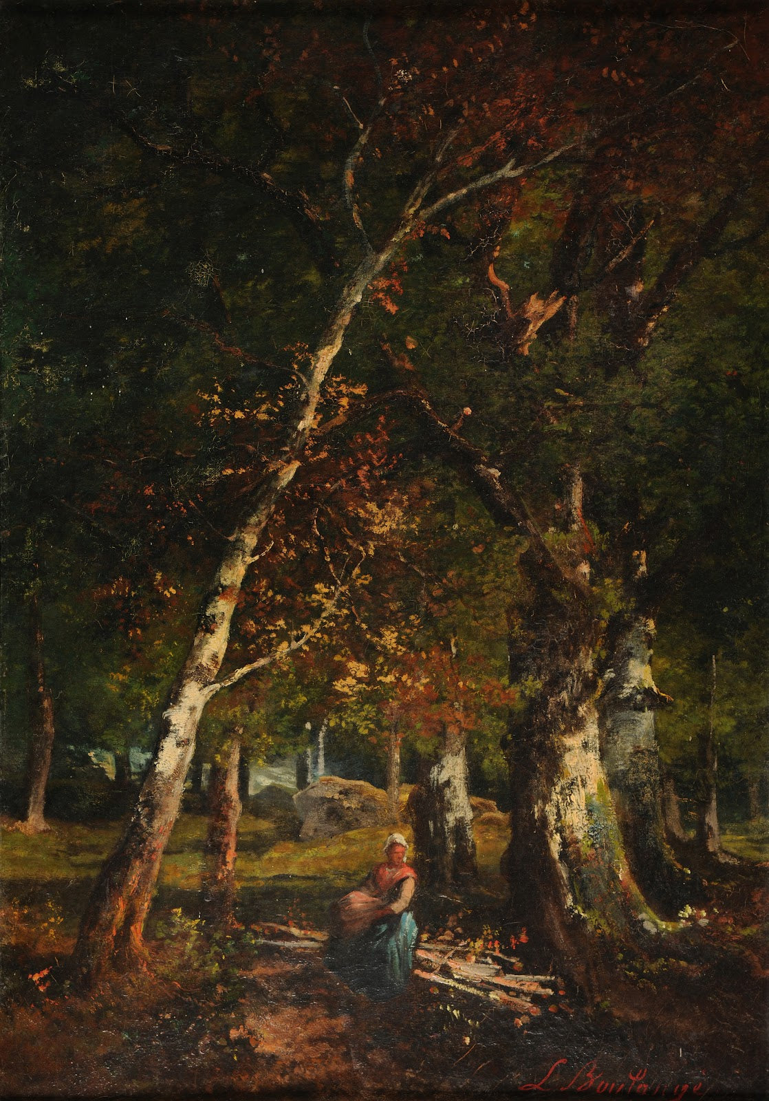 Sous bois à Fontainebleau