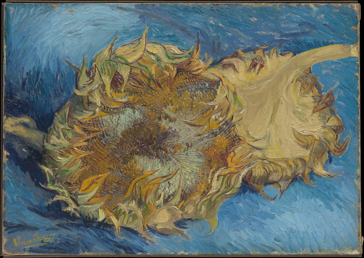 Sunflowers 1887