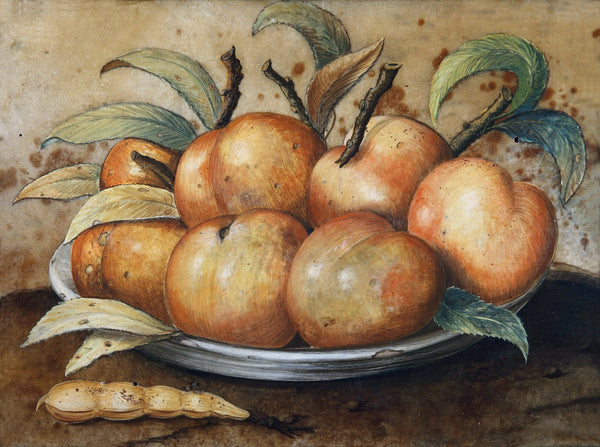 Stillleben Mit Pfirsischen Und Johannisbrot