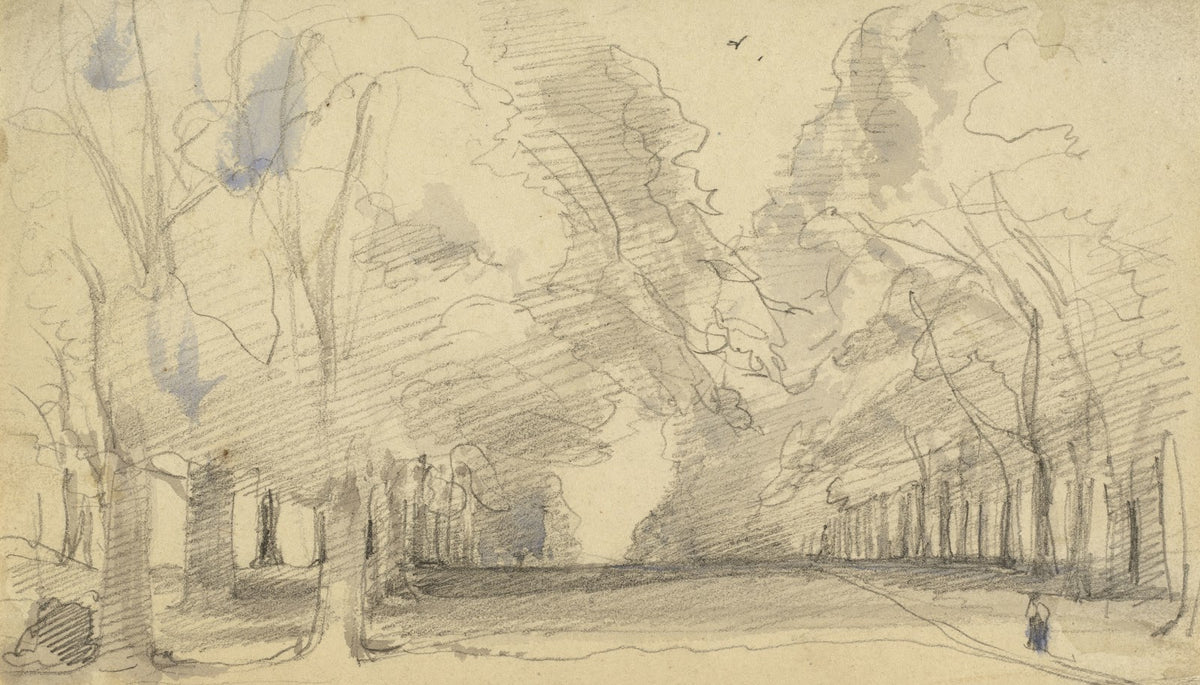 Avenue of Trees