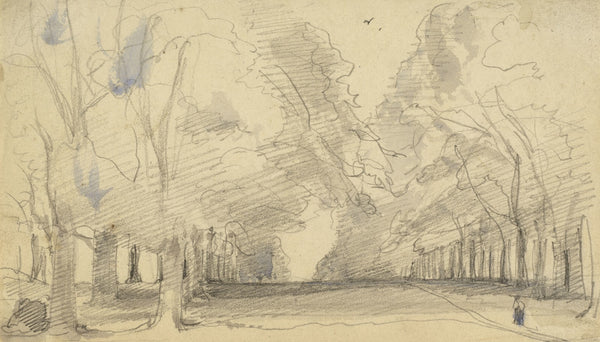 Avenue of Trees