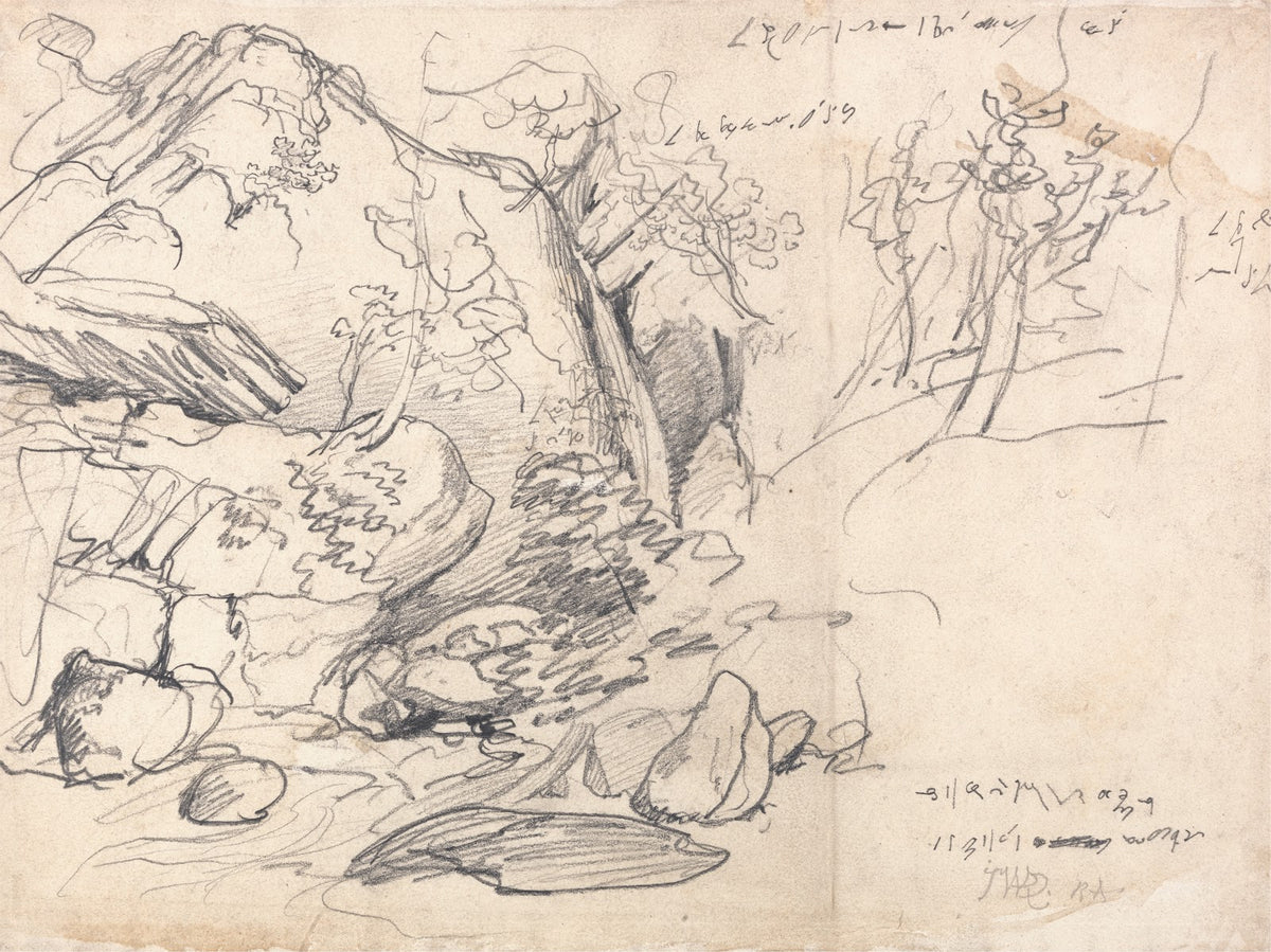 Study of a Mountain with Trees