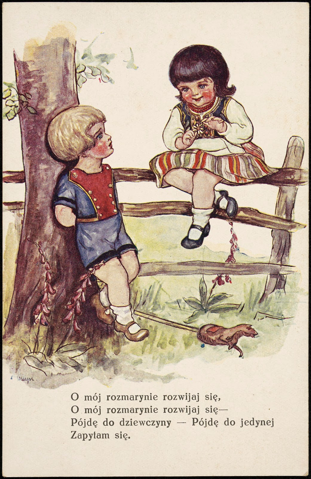 O mój rozmarynie rozwijaj się 1927 1936