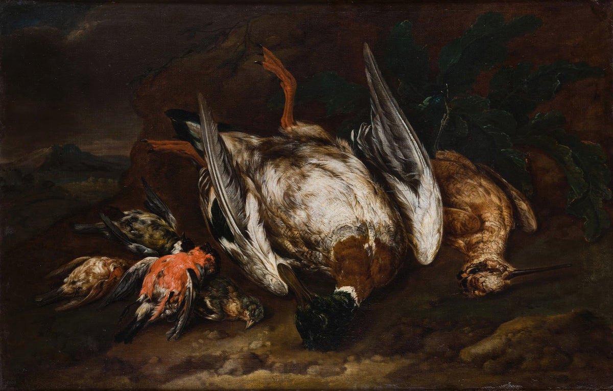 Slaughtered Birds 1663 1722