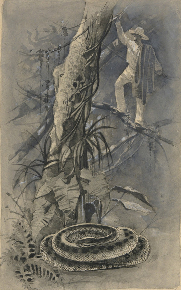 And Then I Saw Him Coiled All in a Heap The Capture of a Great Serpent in StNich