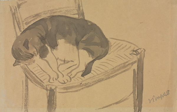 Sleeping Cat 19001932