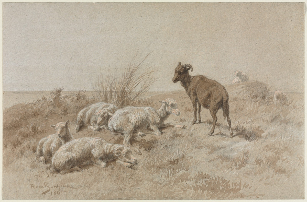 Sheep 1861