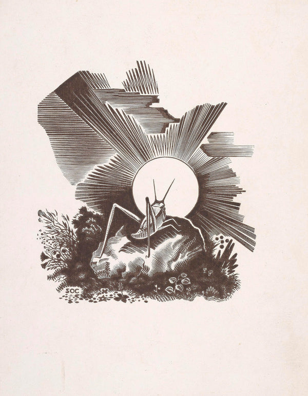 Konik polny ilustracja do Song of the Little Indian Mais 1935