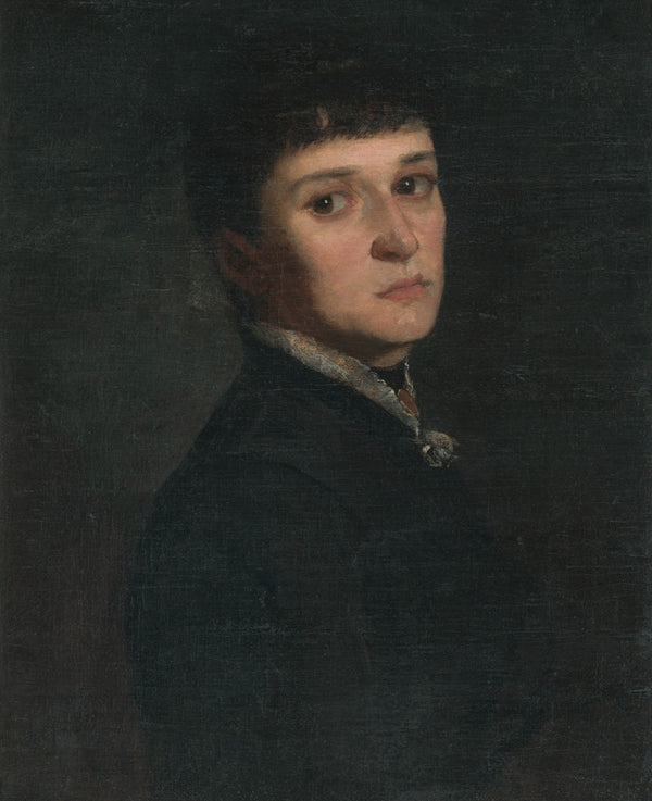 Portrait of a lady 1876