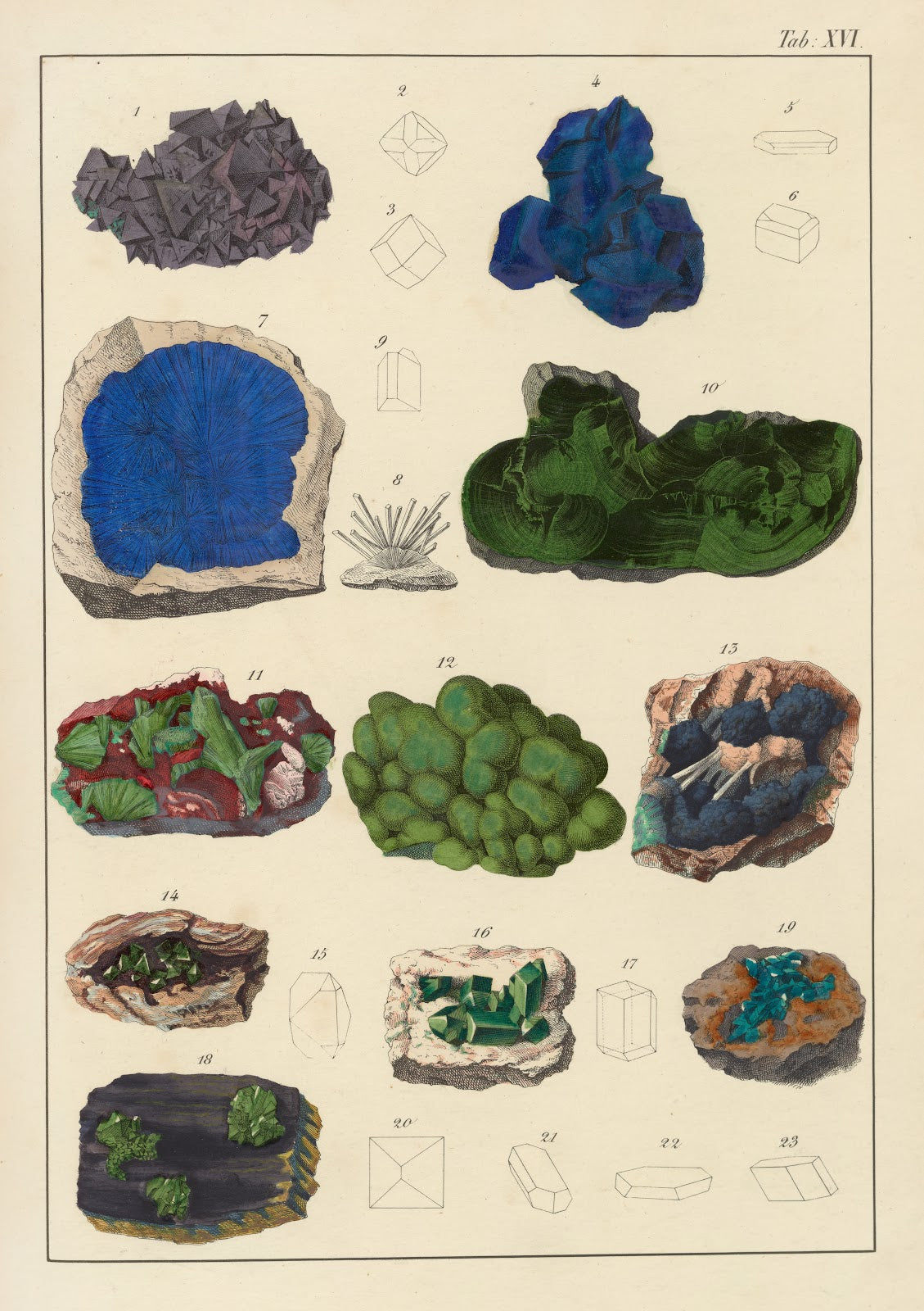 Plate XVI Copper Malachite 1859