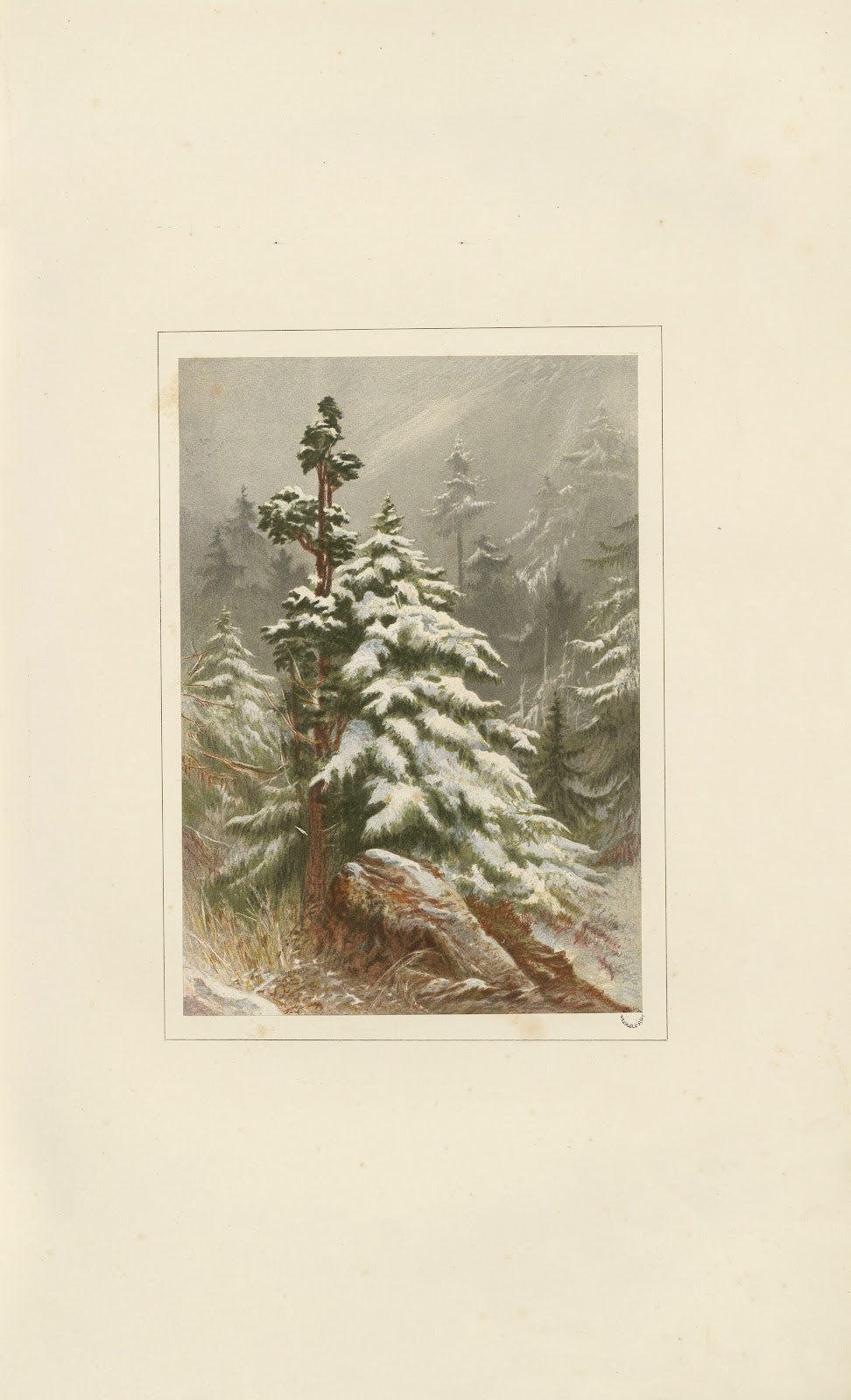 Winter 1867