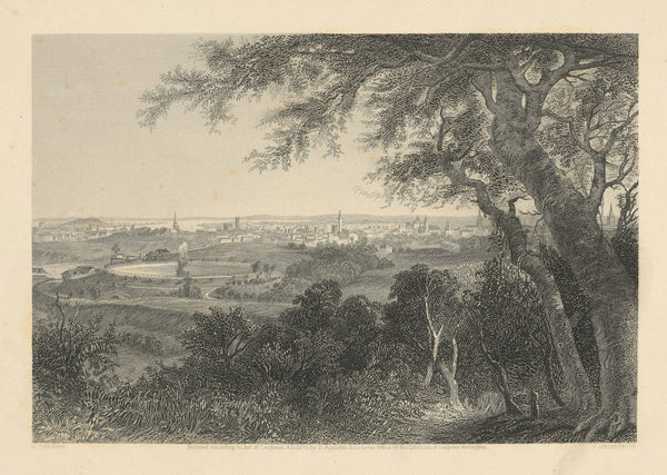 City of Baltimore From Druid Hill Park 1876