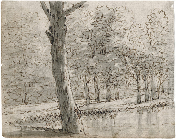 Bomen langs