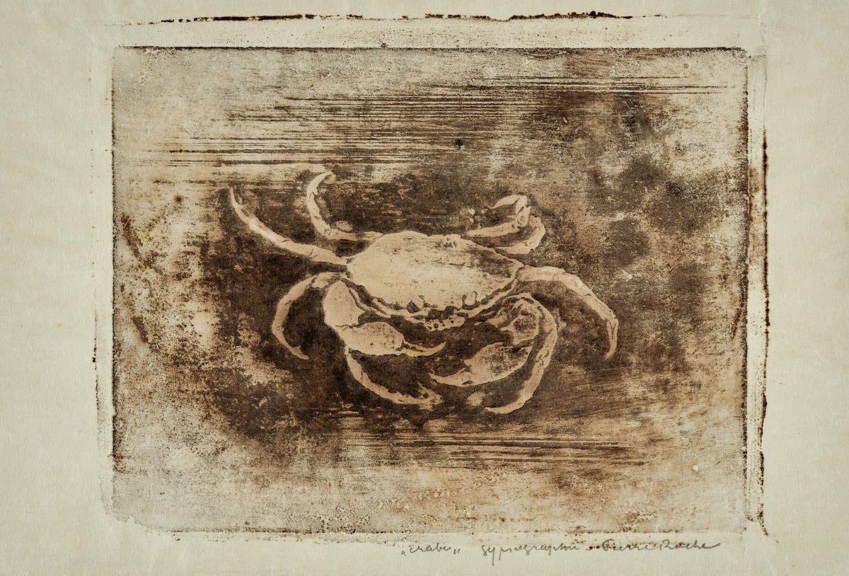 Crabe 1895