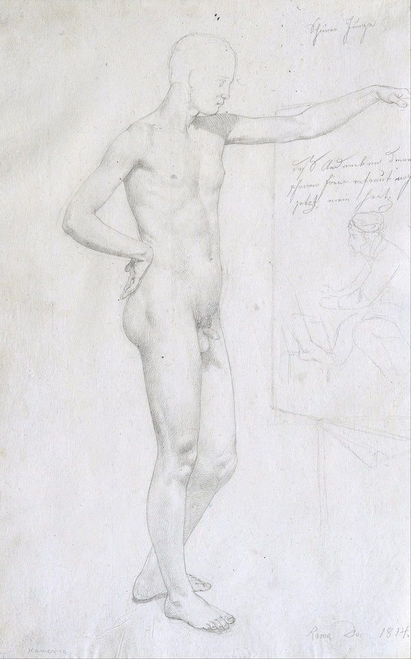 Handsome Boy 1814