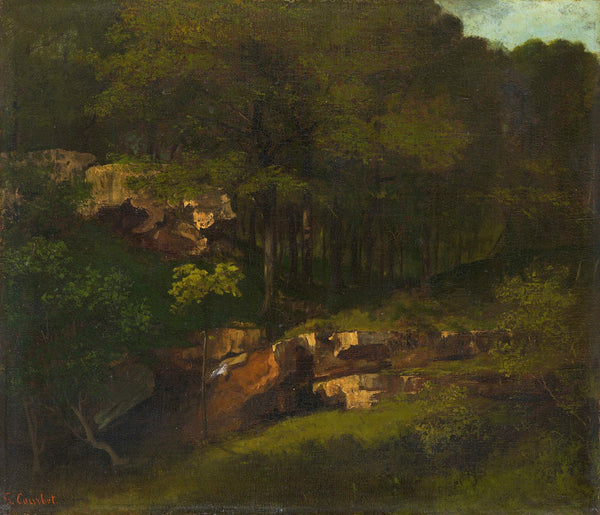 Wooded mountain slope with rocks