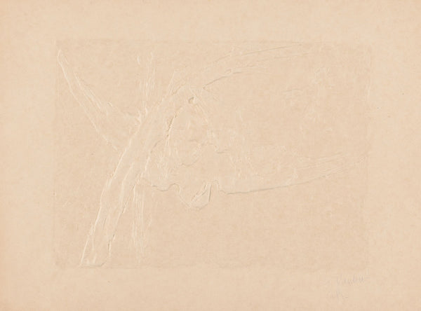 Le Vautour 1893 1895