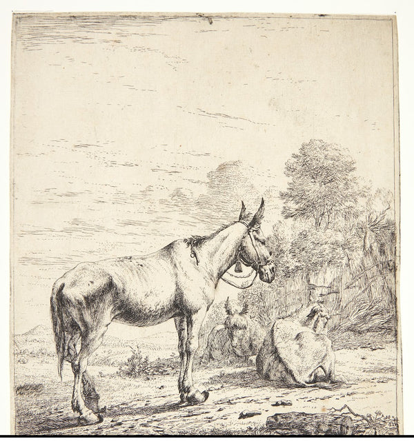 Et mulæsel med en klokke om halsen 1653