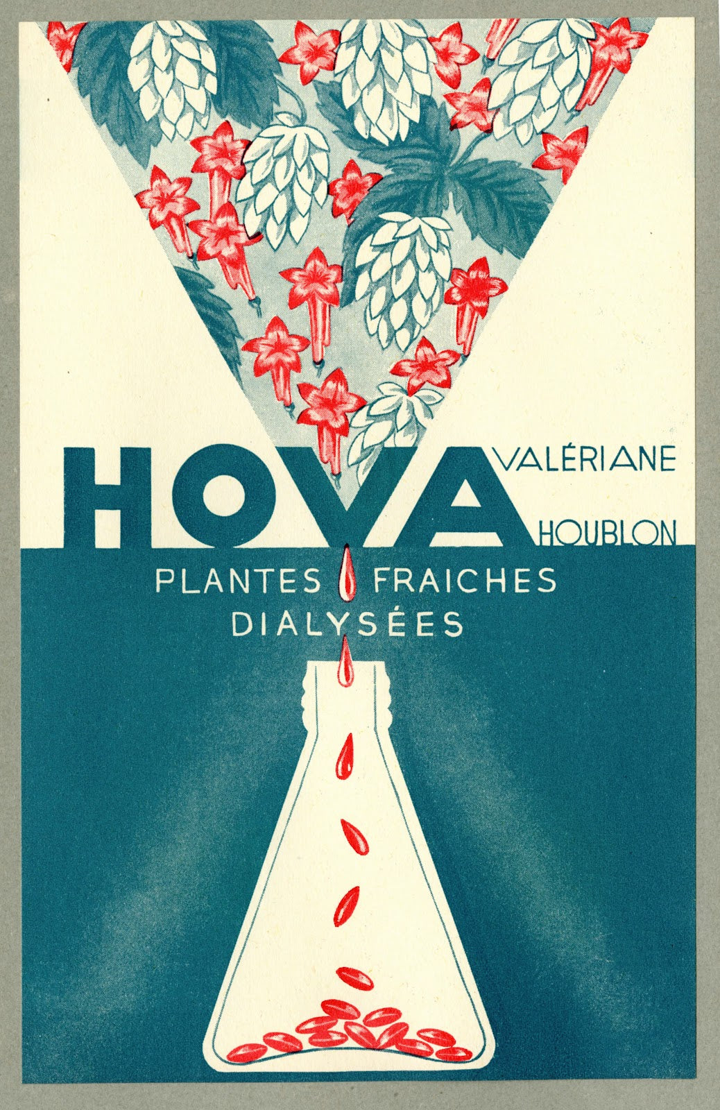 Hova 1910 1950
