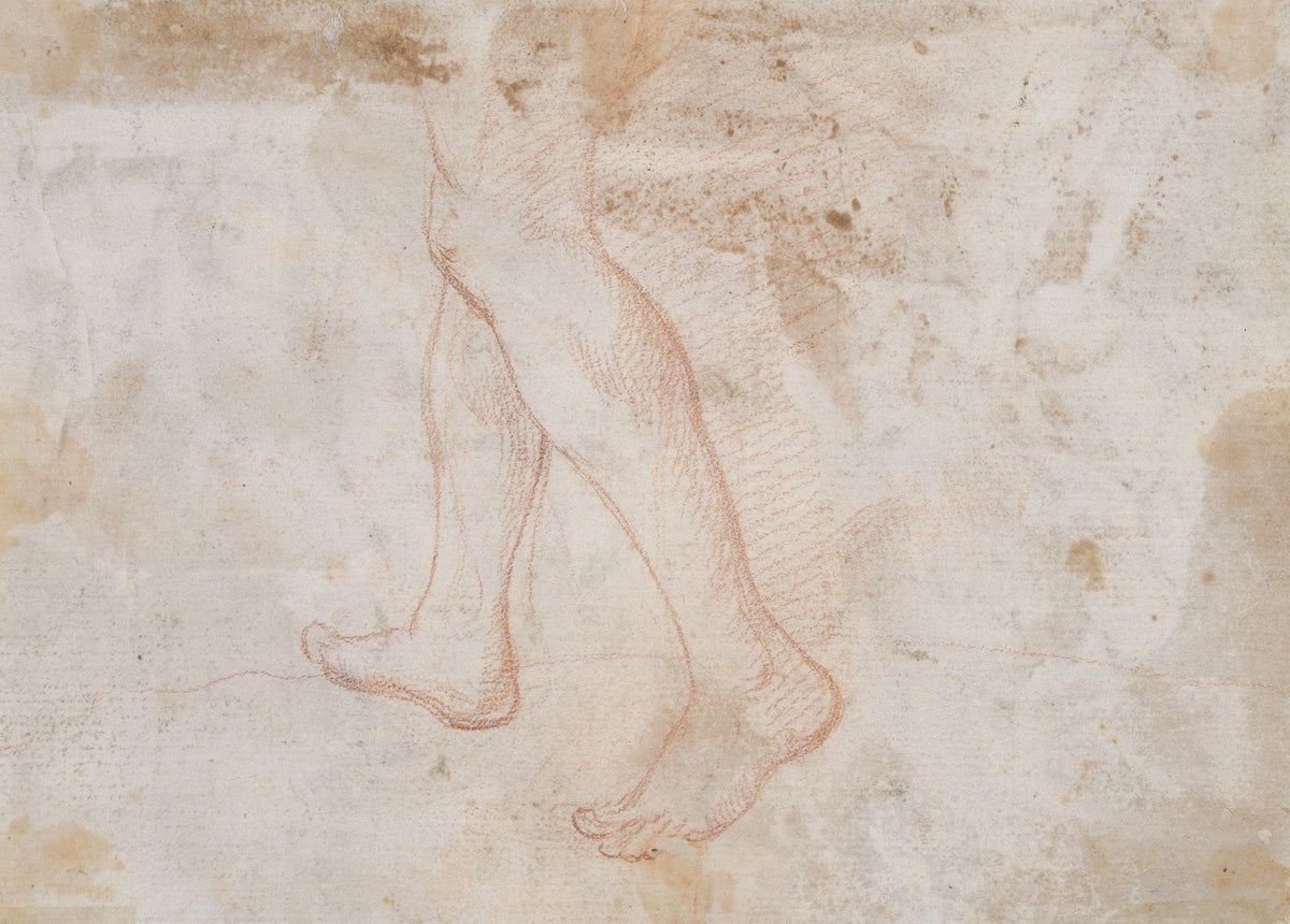 Schreitendes Beinpaar Fragment ca 1648