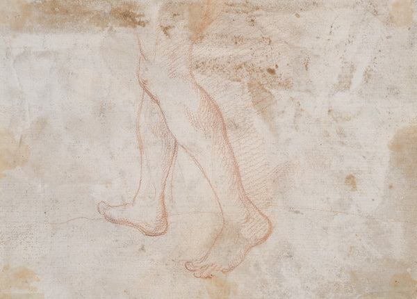 Schreitendes Beinpaar Fragment ca 1648