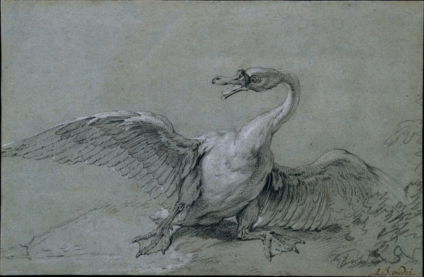 Angry Swan 18th century