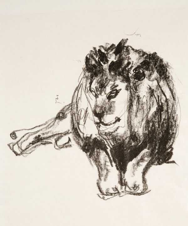 Lion Lying Down 1915