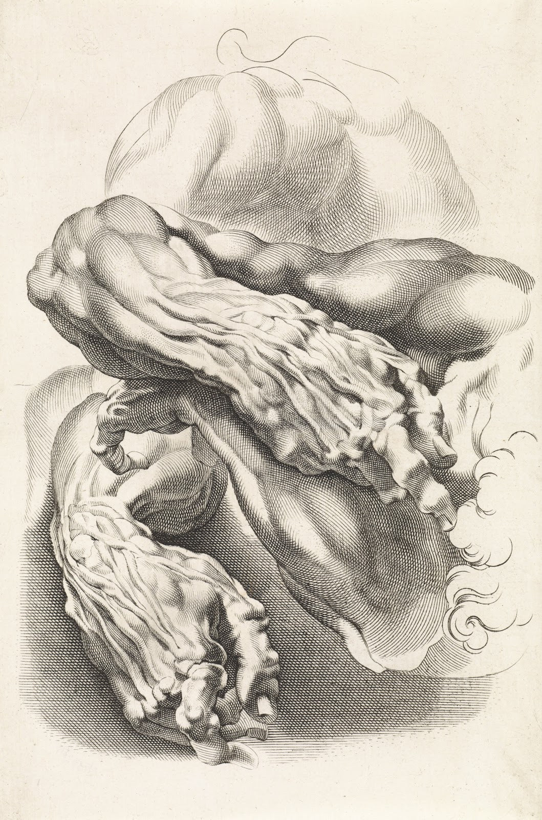 Anatomical studies of arms 1616 1657