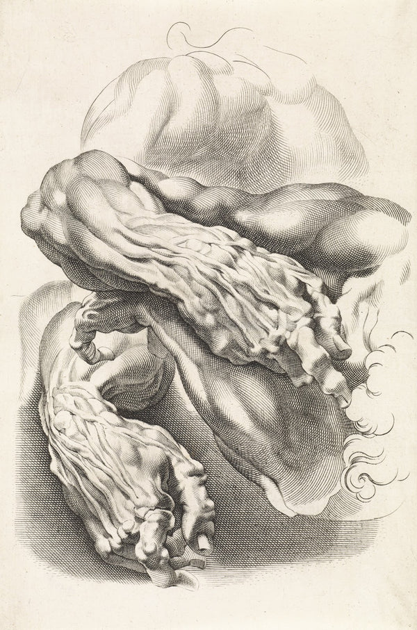 Anatomical studies of arms 1616 1657