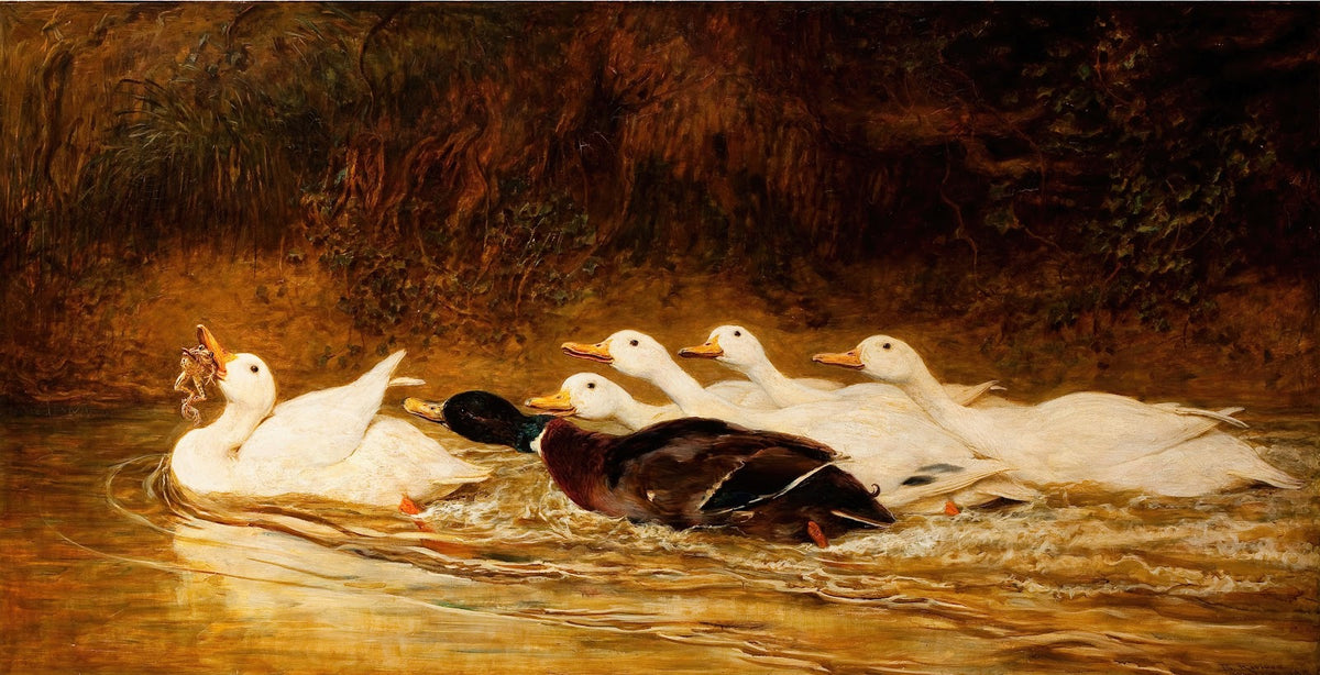 A Stern Chase is a Long Chase 1876