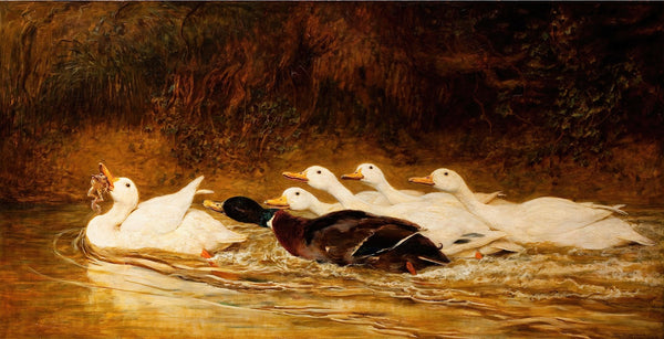 A Stern Chase is a Long Chase 1876