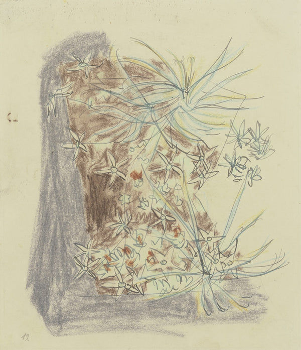 Study of plants 2