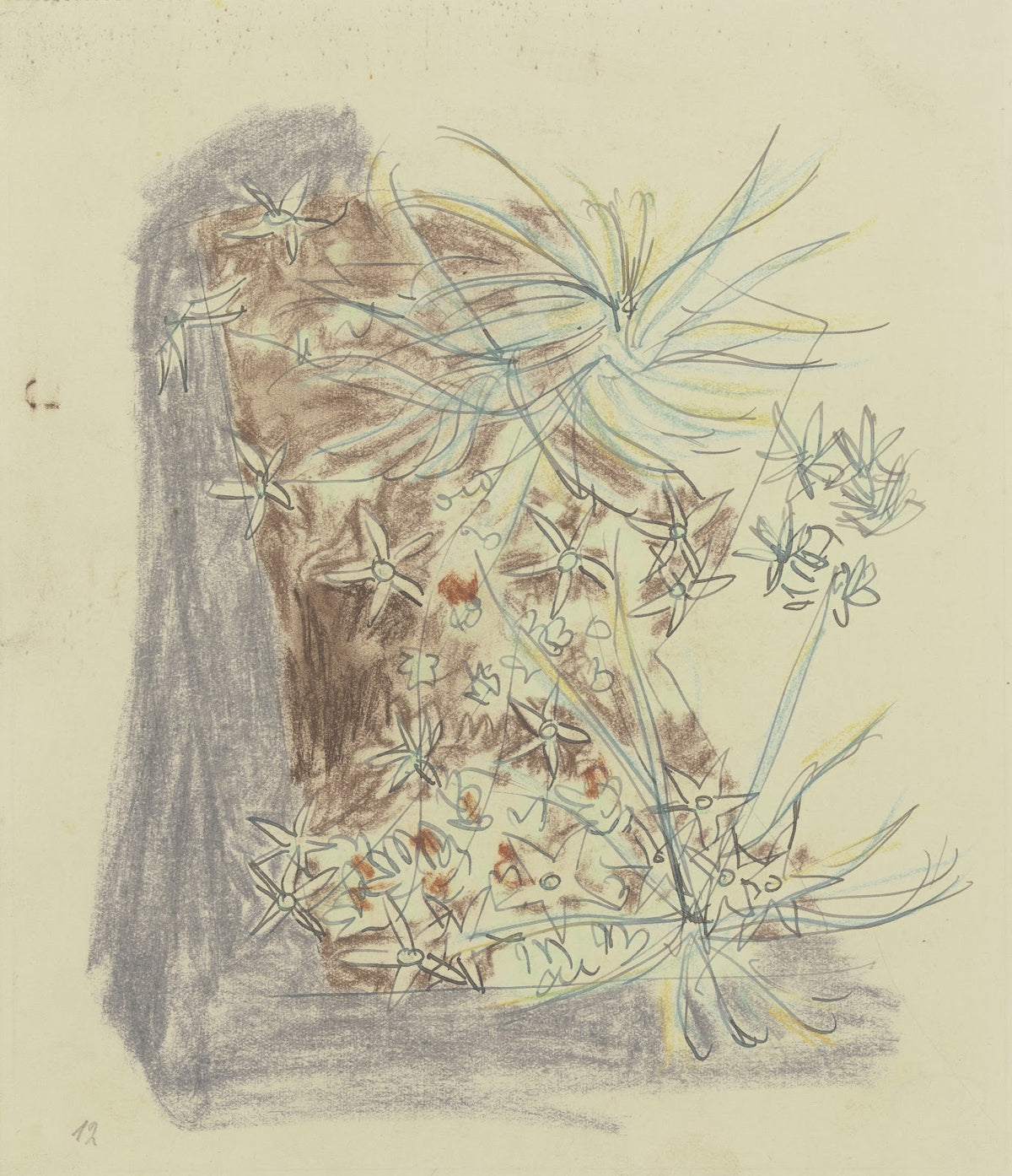Study of plants 2