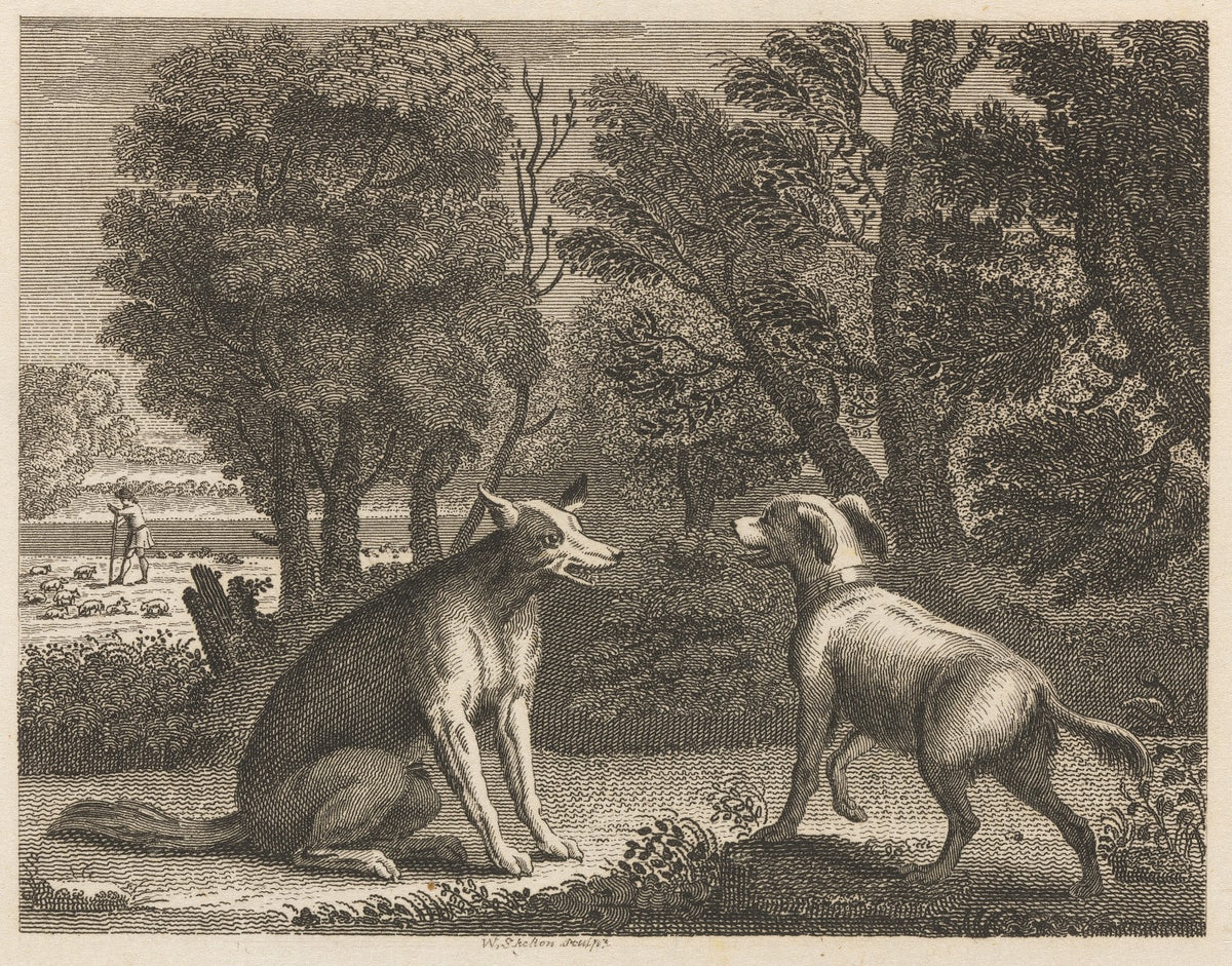 Fable XVII The Shepherds Dog and the Wolf 1793