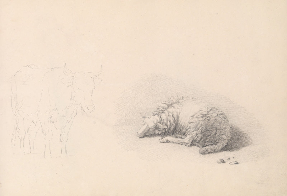 Cow and sheep 19th century